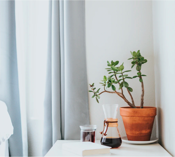 Plant pot next to curtains